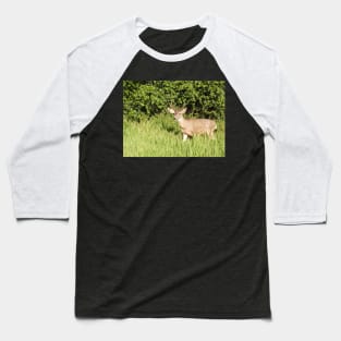 Mule deer, wildlife, Woodland King Baseball T-Shirt